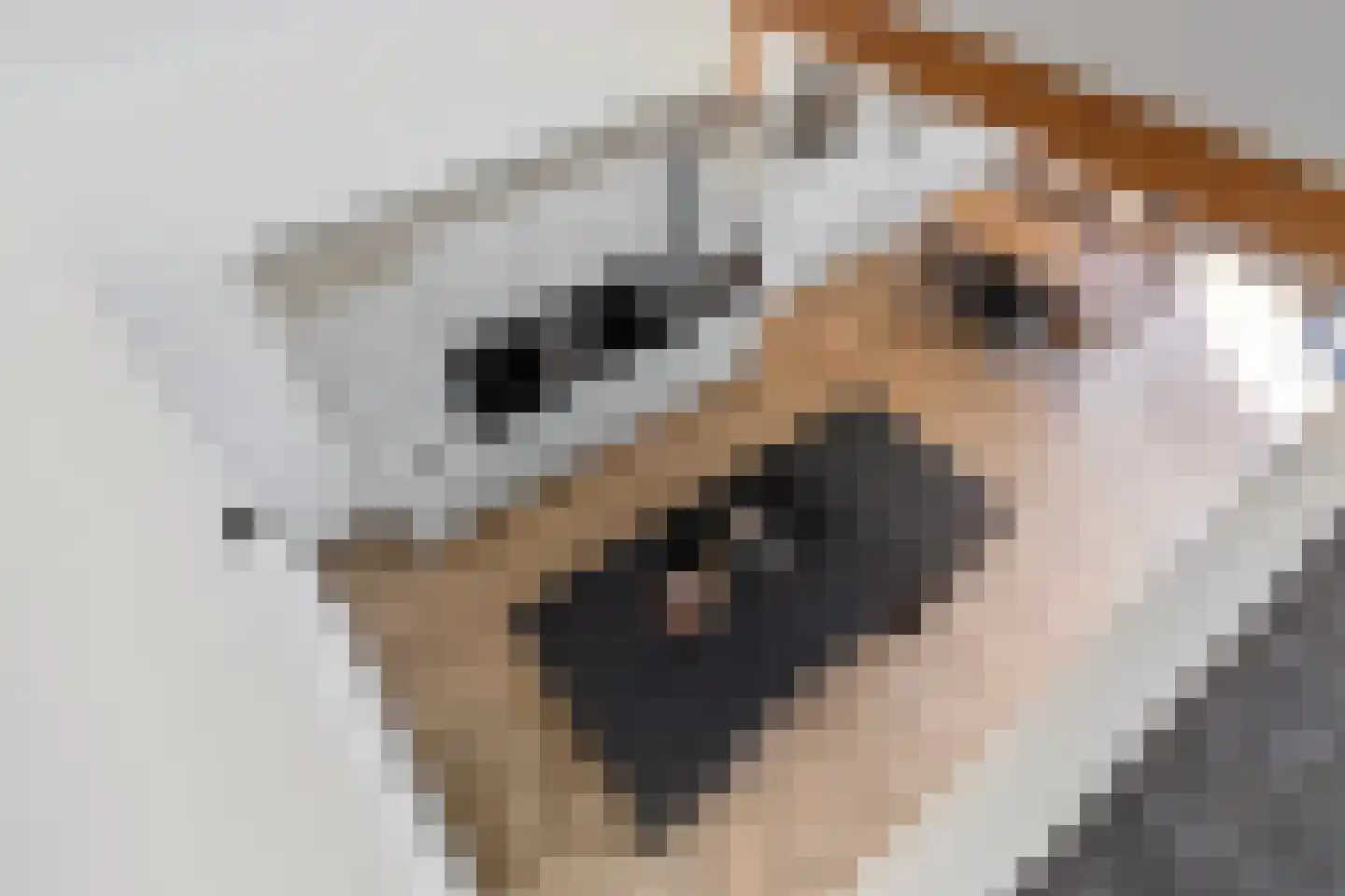 Gaaswijck 13 Poortvliet thumbnail 13