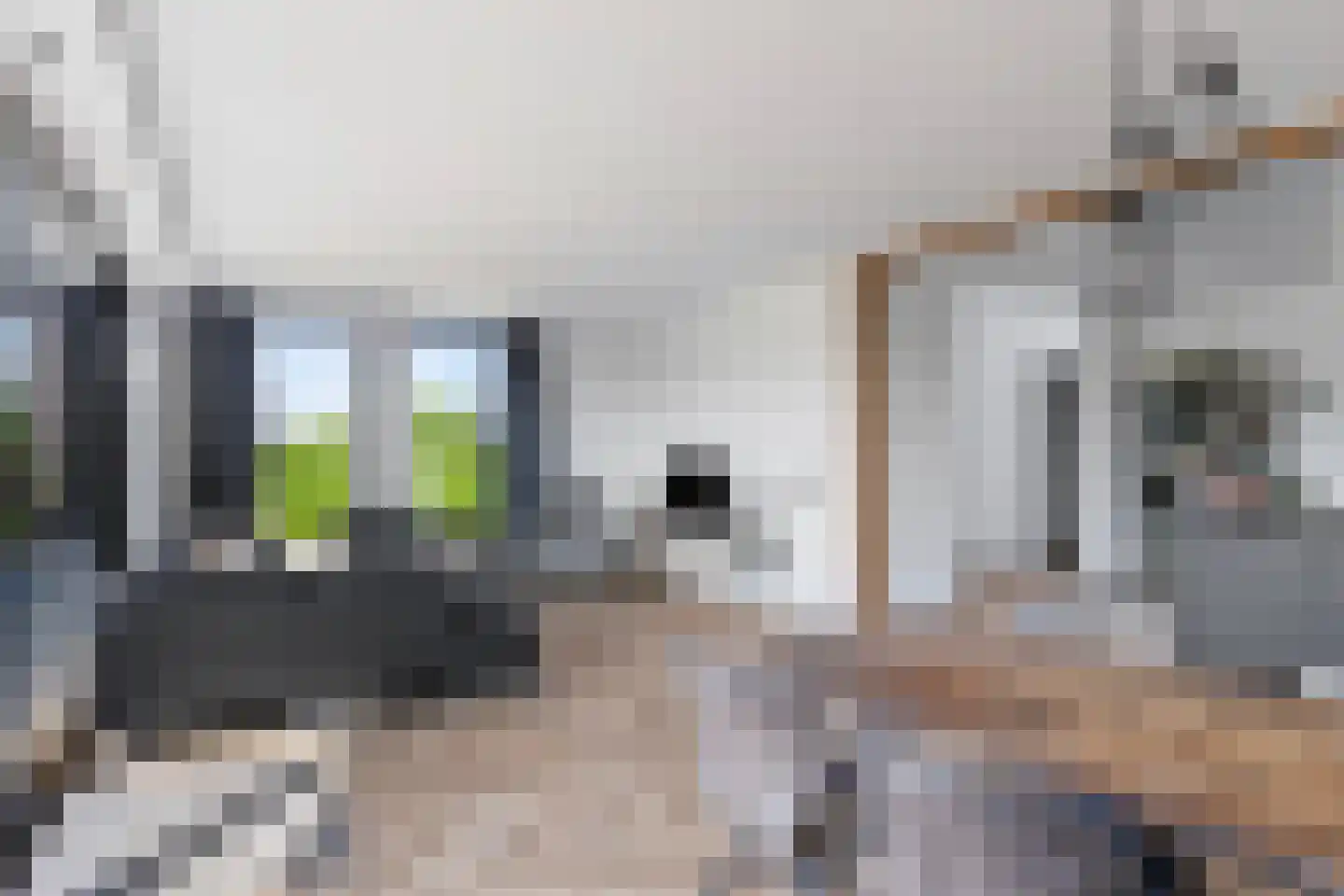 Gaaswijck 13 Poortvliet thumbnail 21