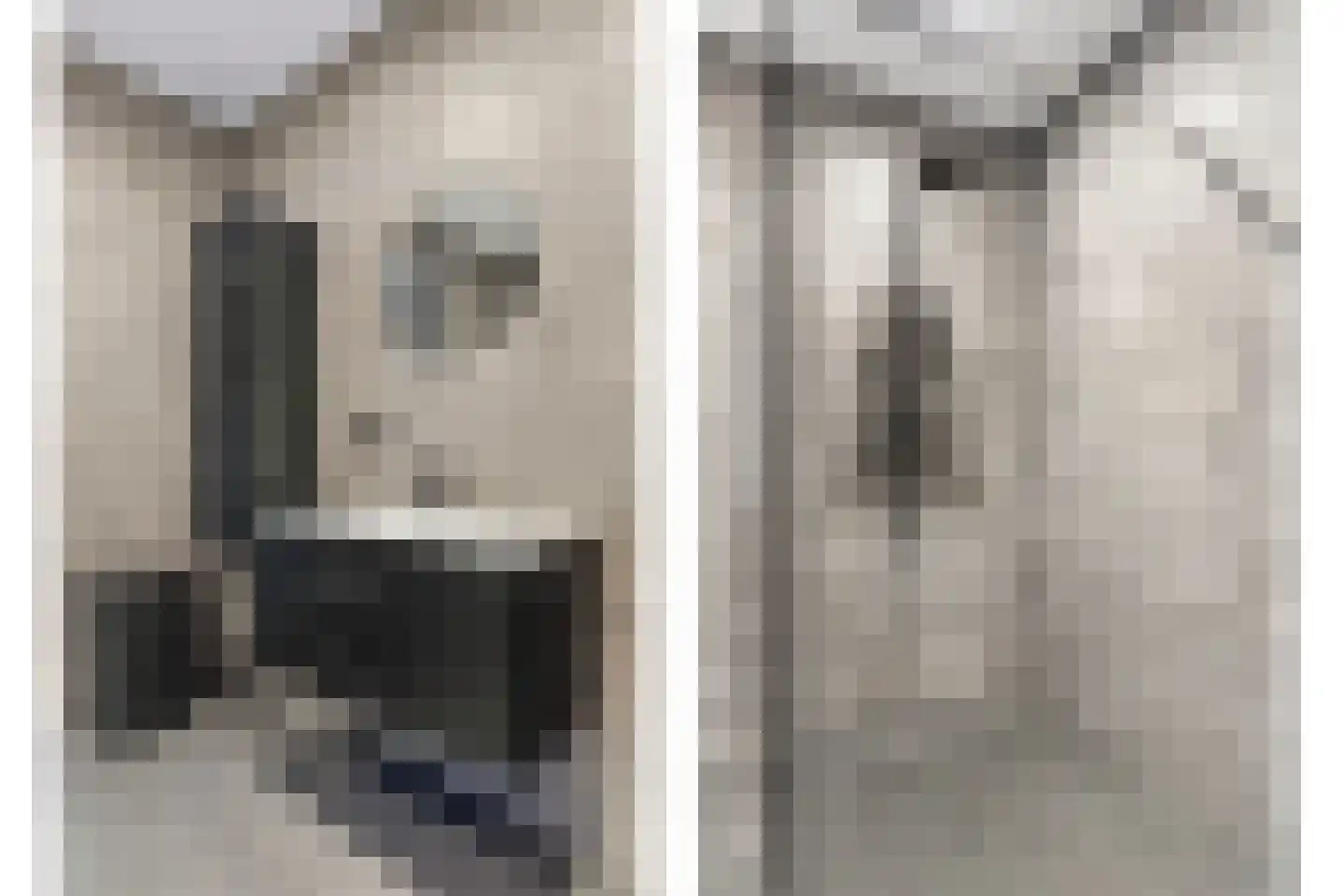 Gaaswijck 13 Poortvliet thumbnail 32