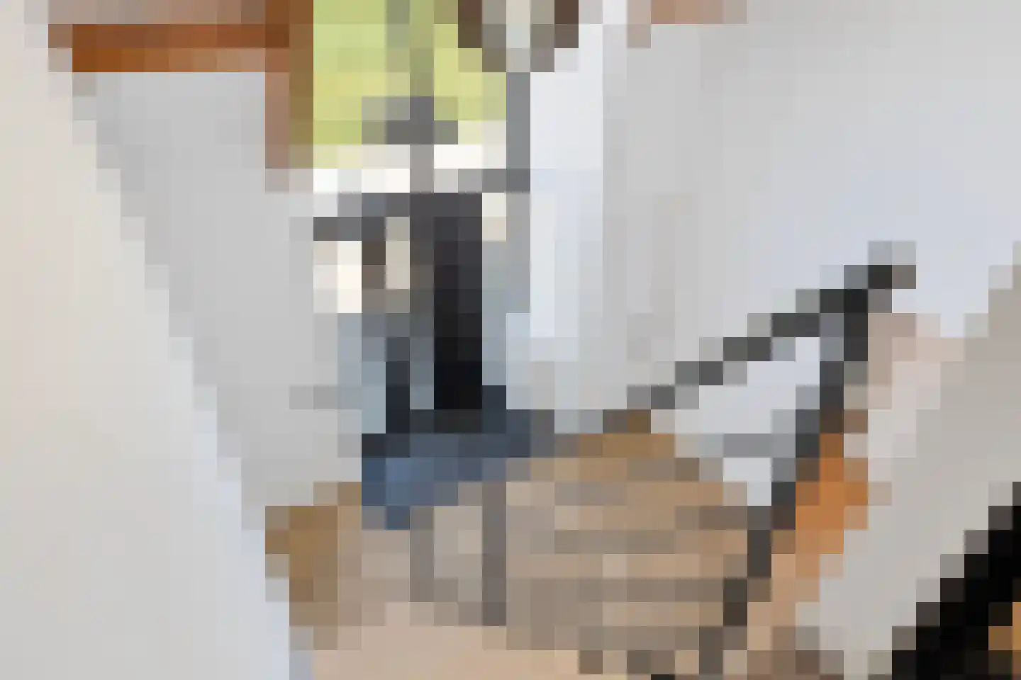 Gaaswijck 13 Poortvliet thumbnail 35
