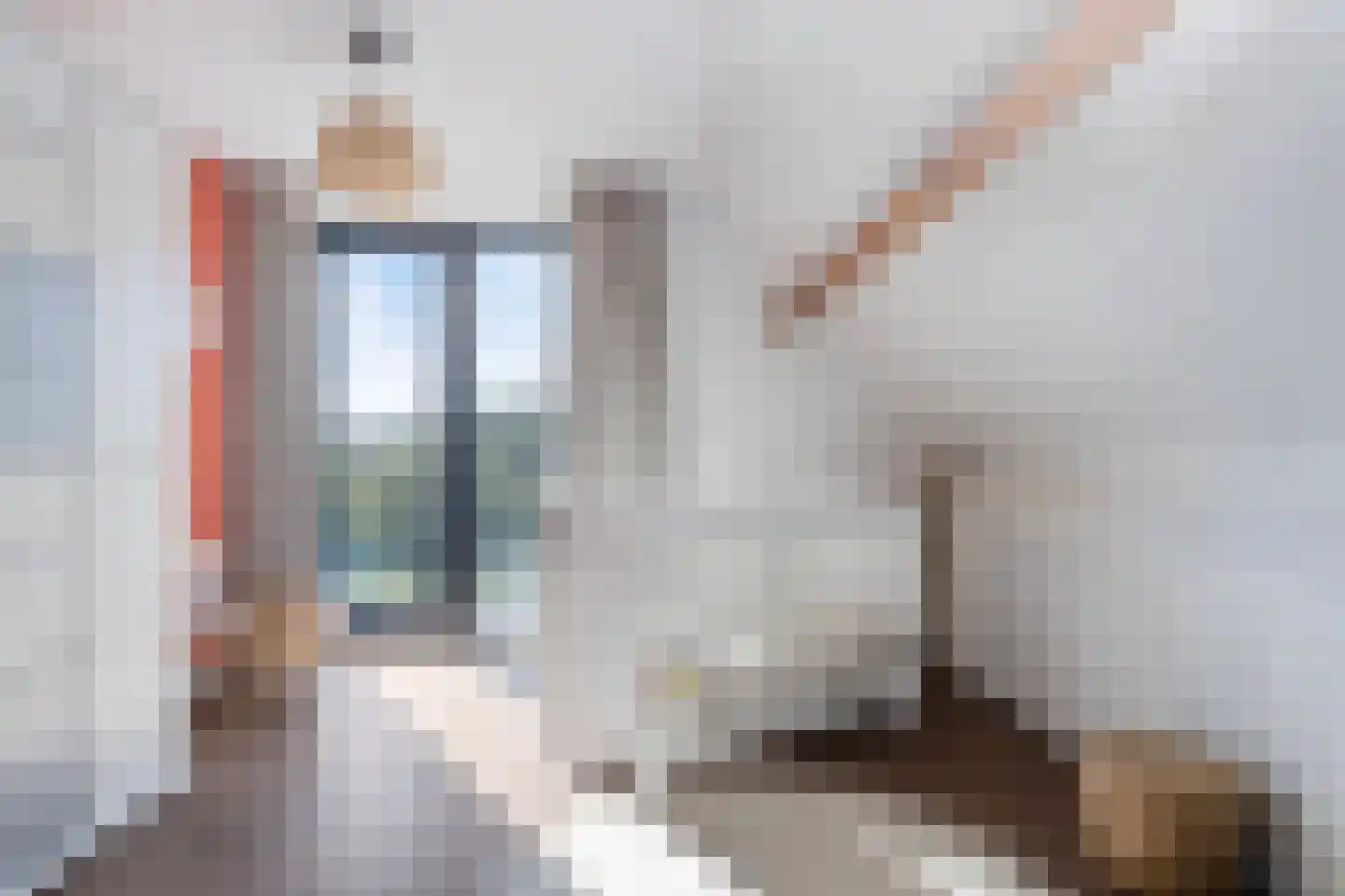 Gaaswijck 13 Poortvliet thumbnail 36