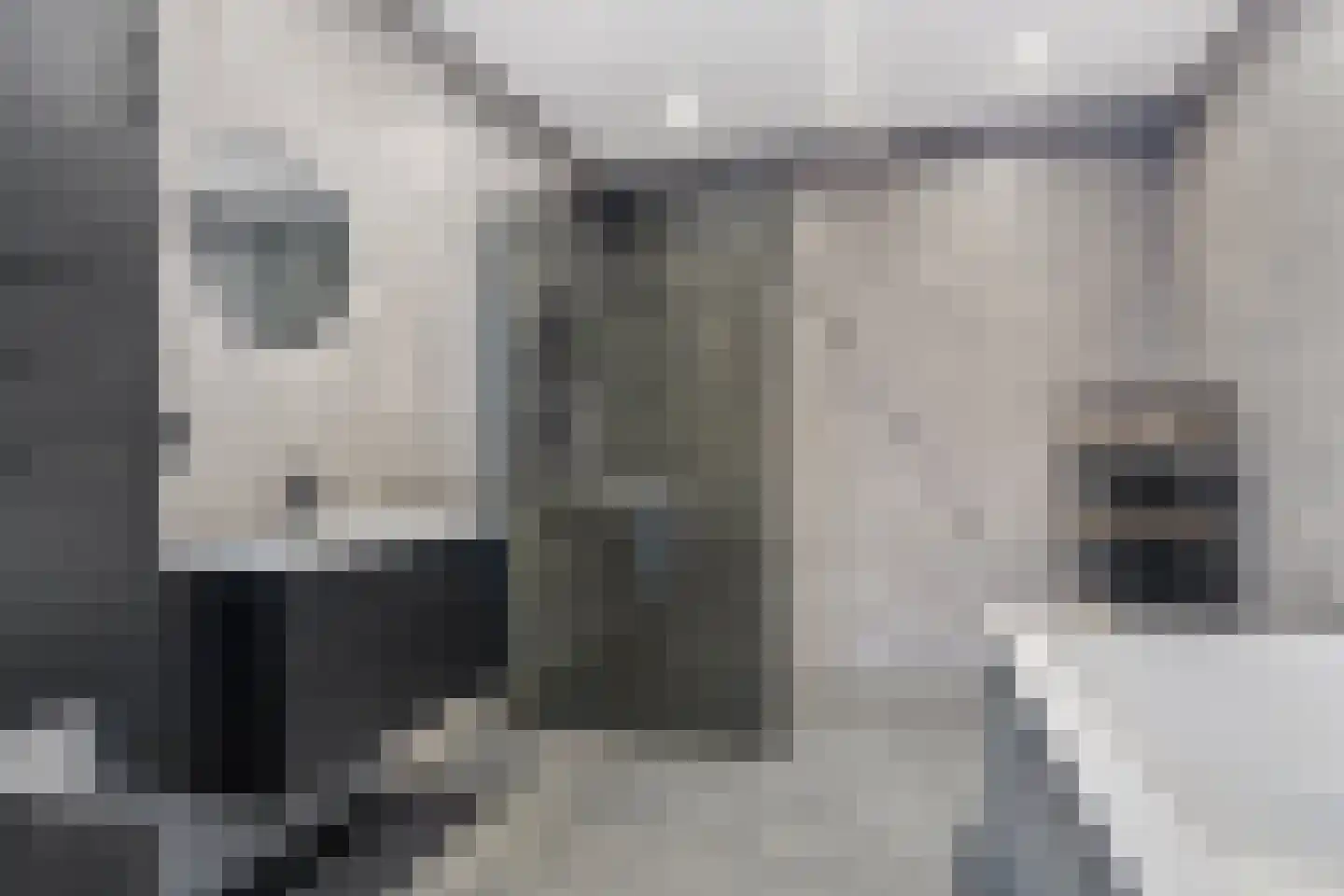 Gaaswijck 13 Poortvliet thumbnail 4
