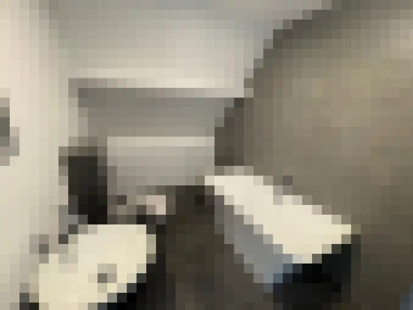 Gaaswijck 13 Poortvliet thumbnail 44
