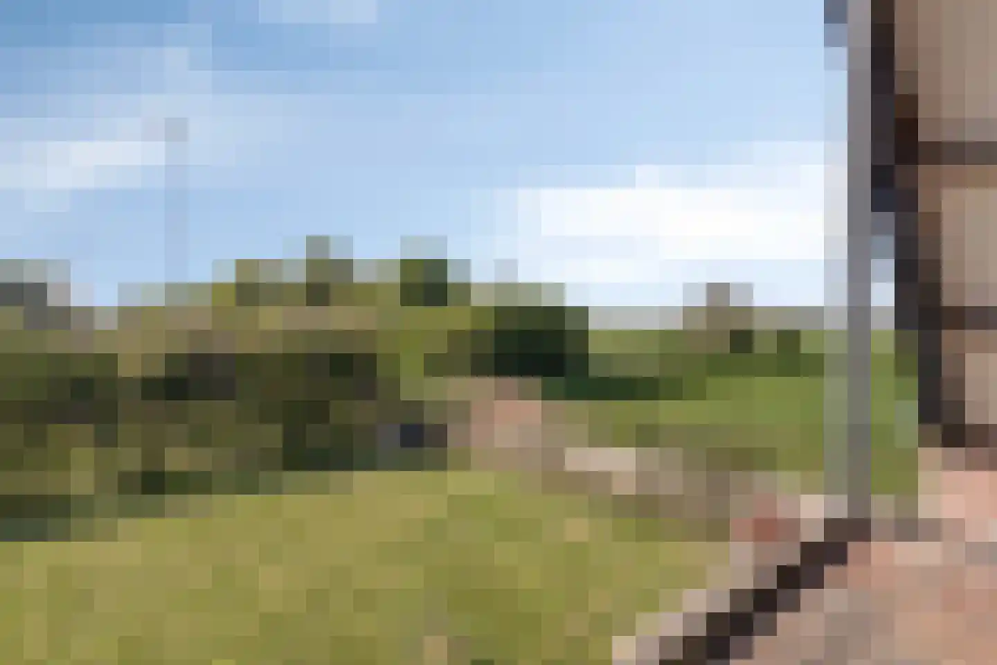 Gaaswijck 13 Poortvliet thumbnail 45