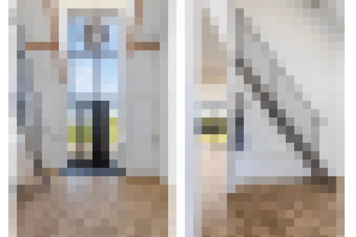 Gaaswijck 13 Poortvliet thumbnail 9