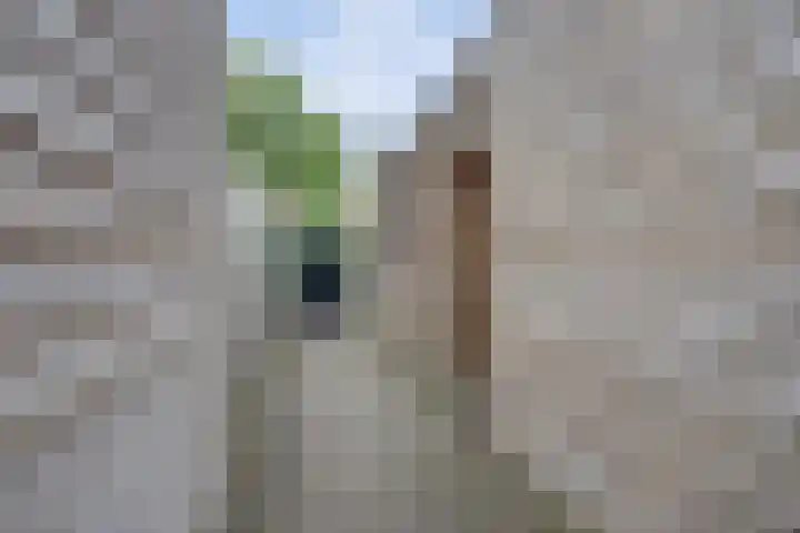 Gabriel García Márquezstraat 5 Nijmegen thumbnail 43