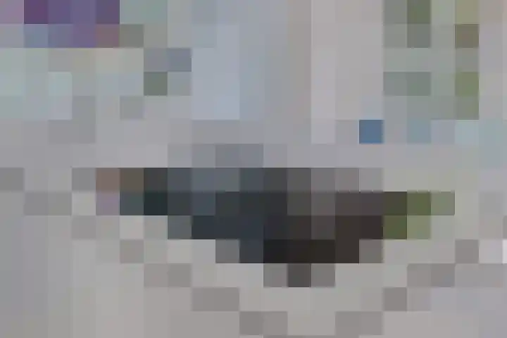 Gabriël Metsulaan 18 Hilversum thumbnail 17