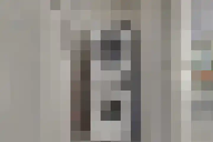 Gabriël Metsulaan 18 Hilversum thumbnail 21