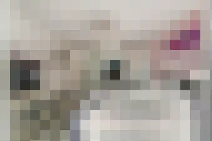Gabriël Metsulaan 18 Hilversum thumbnail 24