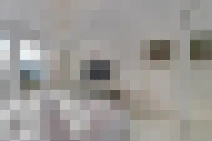 Gabriël Metsulaan 18 Hilversum thumbnail 26