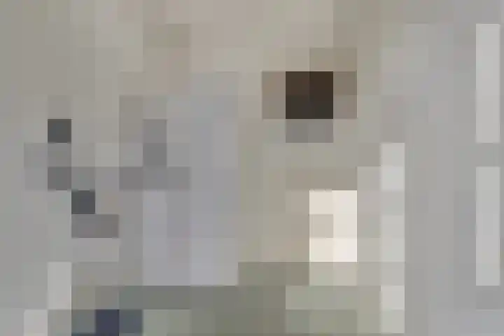 Gabriël Metsulaan 18 Hilversum thumbnail 30