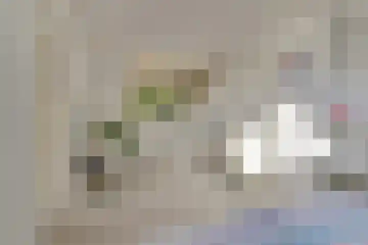 Gabriël Metsulaan 18 Hilversum thumbnail 37