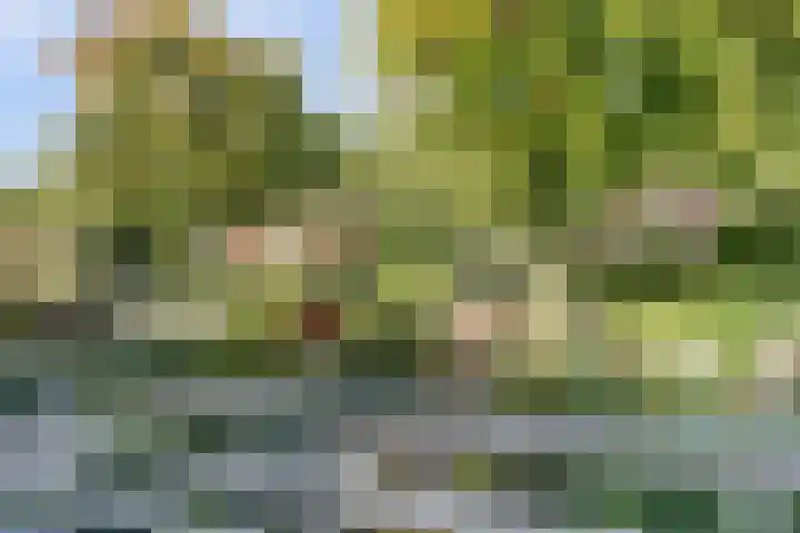 Gabriël Metsulaan 18 Hilversum thumbnail 39