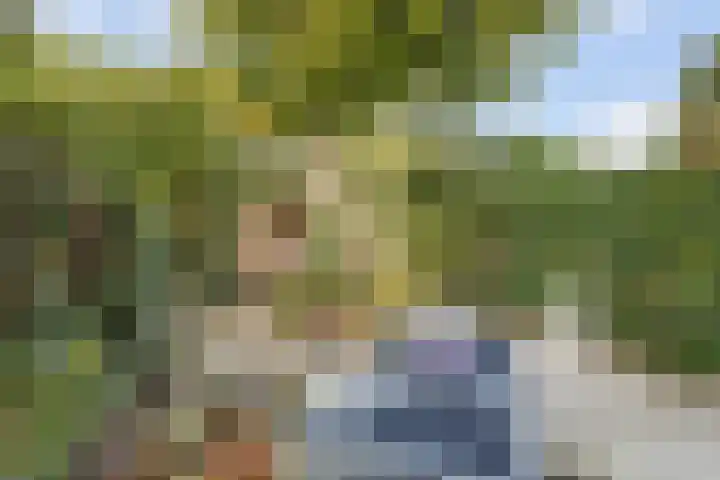 Gabriël Metsulaan 18 Hilversum thumbnail 43