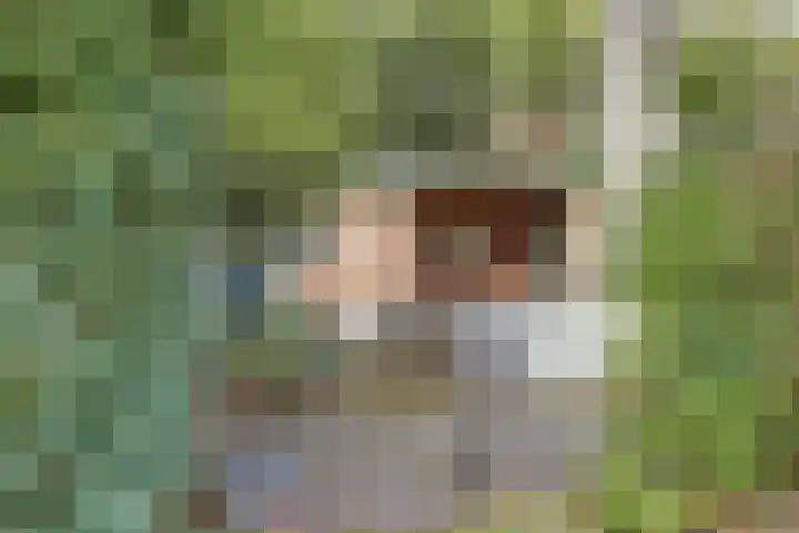 Gabriël Metsulaan 18 Hilversum thumbnail 44