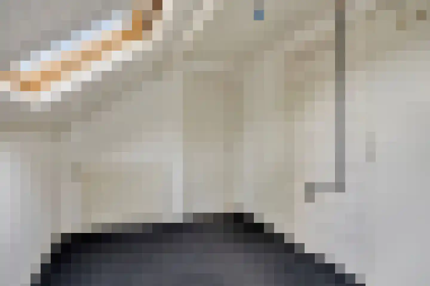 Gabriël Metsulaan 44 Eindhoven thumbnail 37