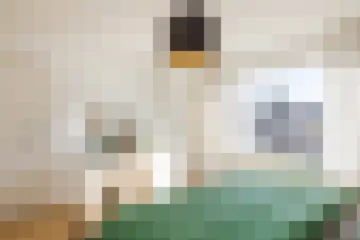 Gabriël Metsulaan 45 Eindhoven thumbnail 19