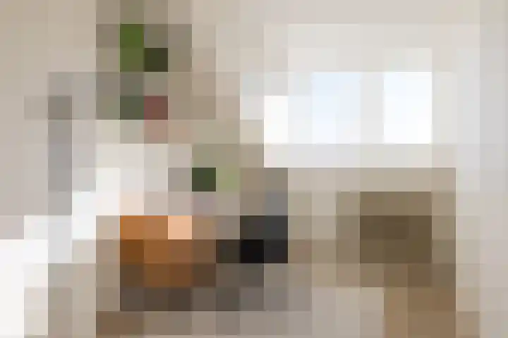 Gabriël Metsulaan 45 Eindhoven thumbnail 27