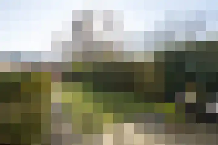 Gabriël Metsulaan 45 Eindhoven thumbnail 33