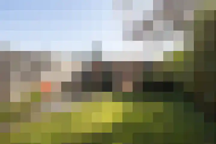 Gabriël Metsulaan 45 Eindhoven thumbnail 34