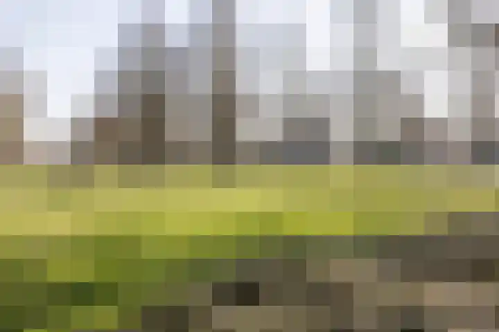 Gabriël Metsulaan 45 Eindhoven thumbnail 38