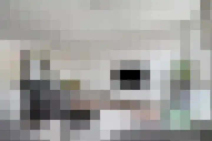 Gabriël Metsulaan 55 Eindhoven thumbnail 12