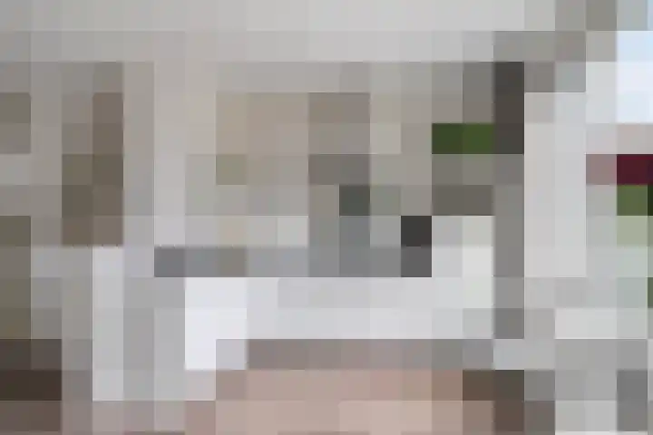 Gabriël Metsulaan 55 Eindhoven thumbnail 17