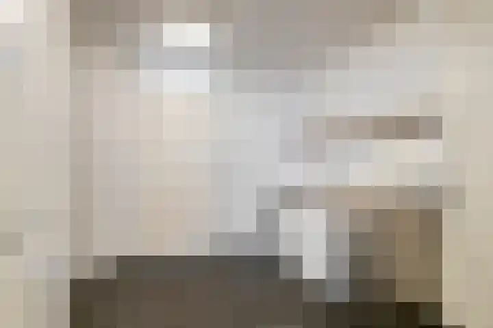 Gabriël Metsulaan 55 Eindhoven thumbnail 9