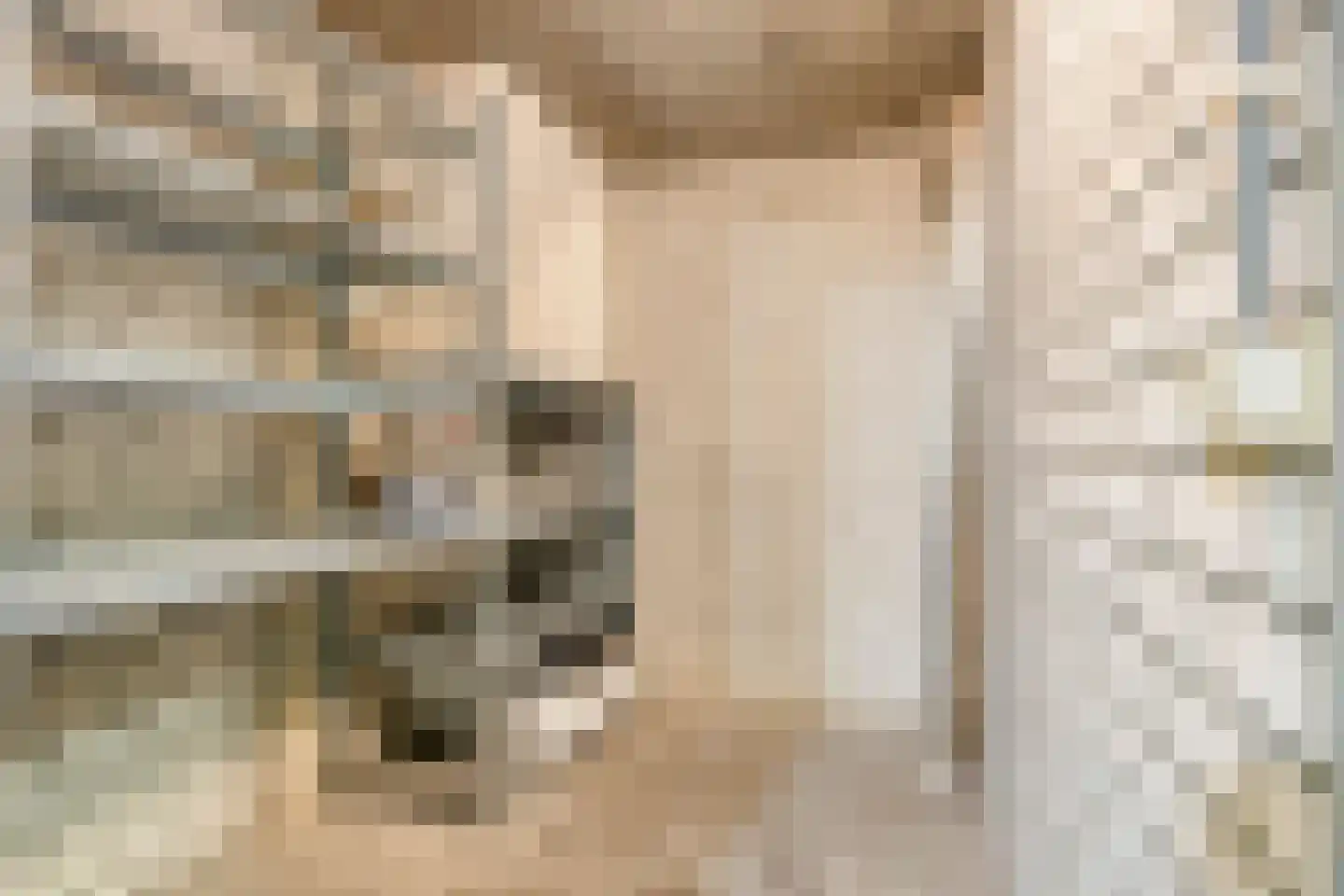 Gabriël Metsulaan 70 Eindhoven thumbnail 34