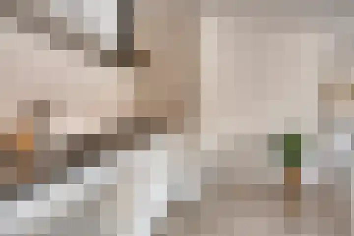 Gabriël Metsulaan 74 Eindhoven thumbnail 15