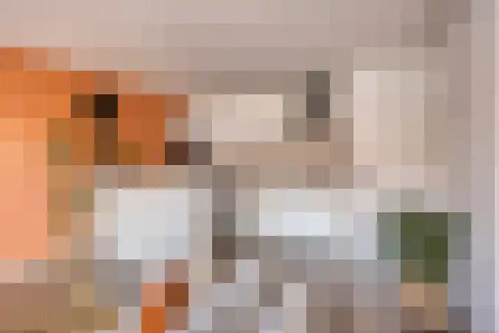 Gabriël Metsulaan 74 Eindhoven thumbnail 4