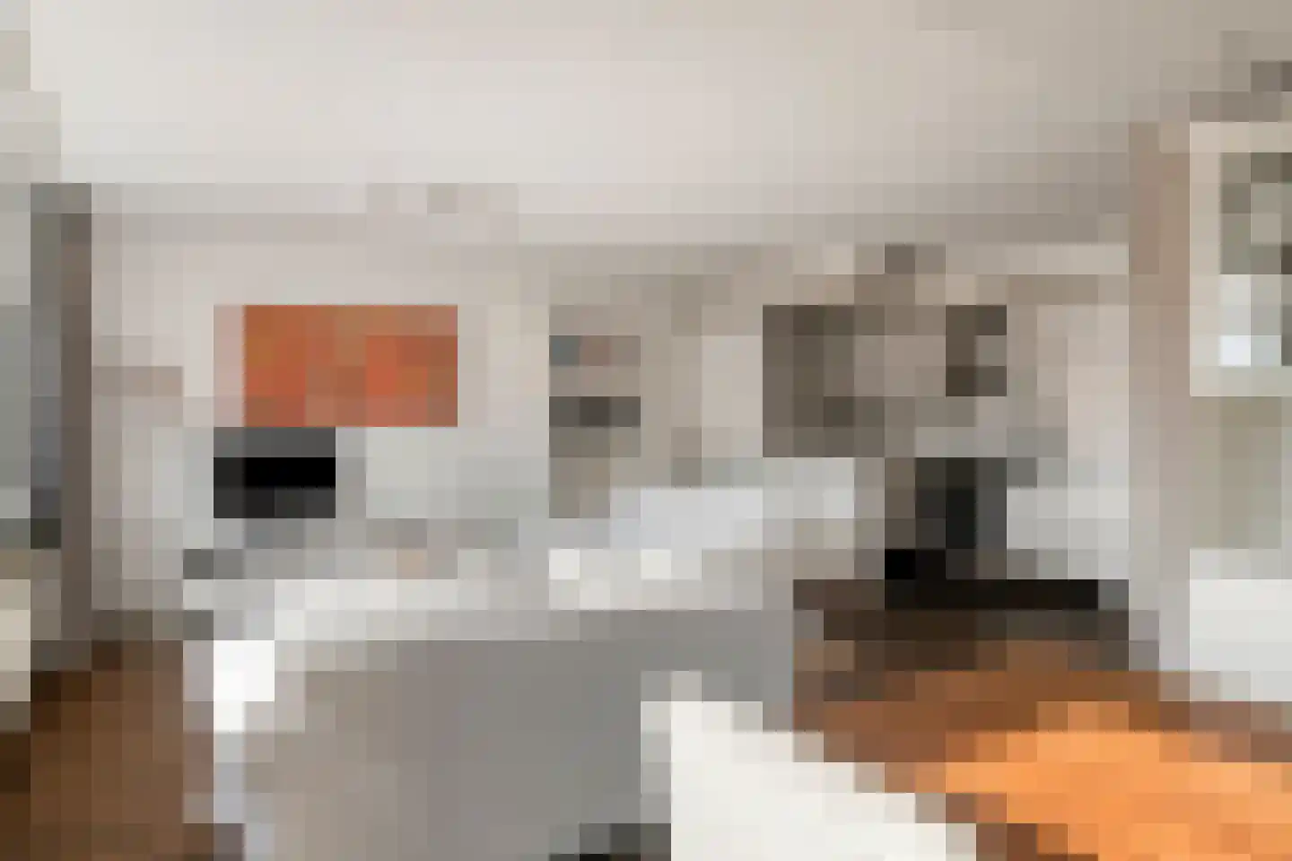 Gabriël Metsulaan 84 Eindhoven thumbnail 17