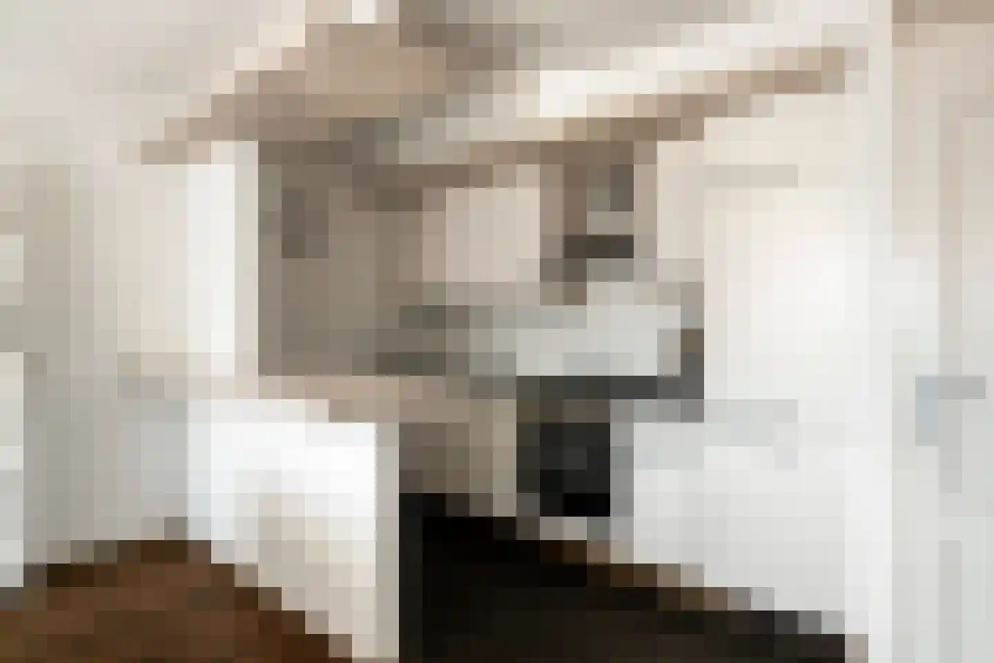 Gabriël Metsulaan 84 Eindhoven thumbnail 4