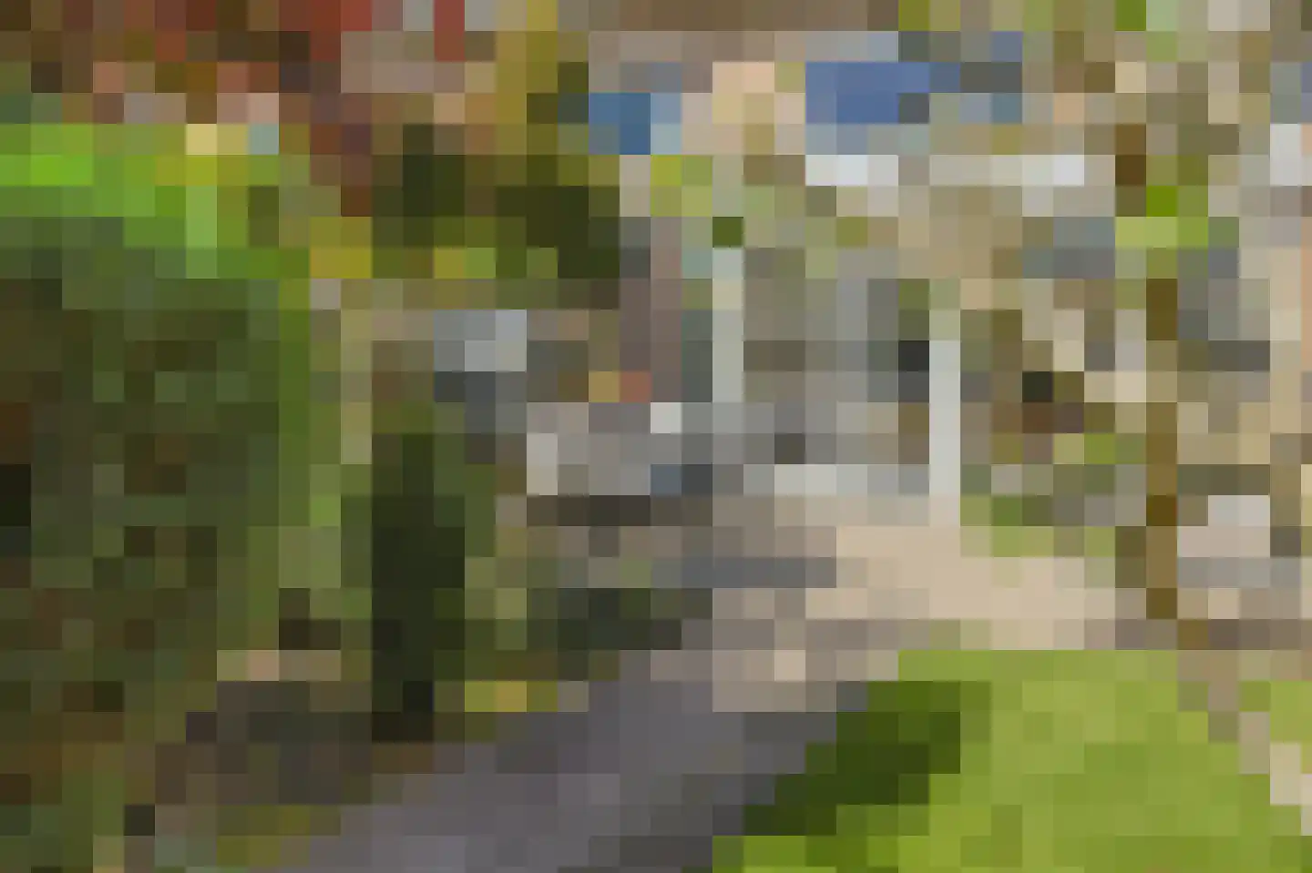 Gabriël Metsulaan 9 Eindhoven thumbnail 27