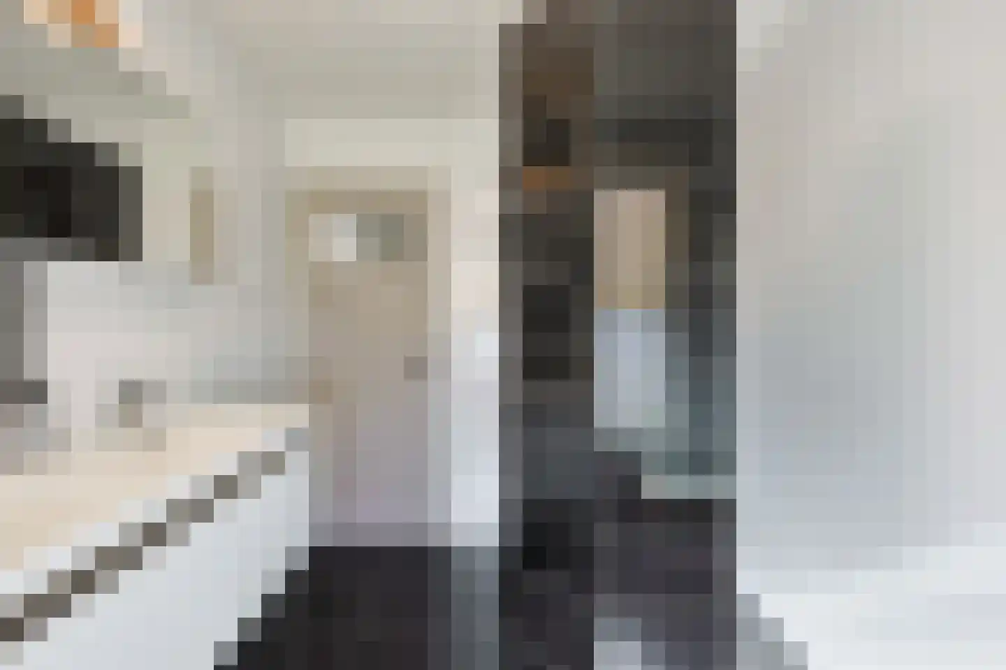 Gabriël Metsulaan 9 Eindhoven thumbnail 43