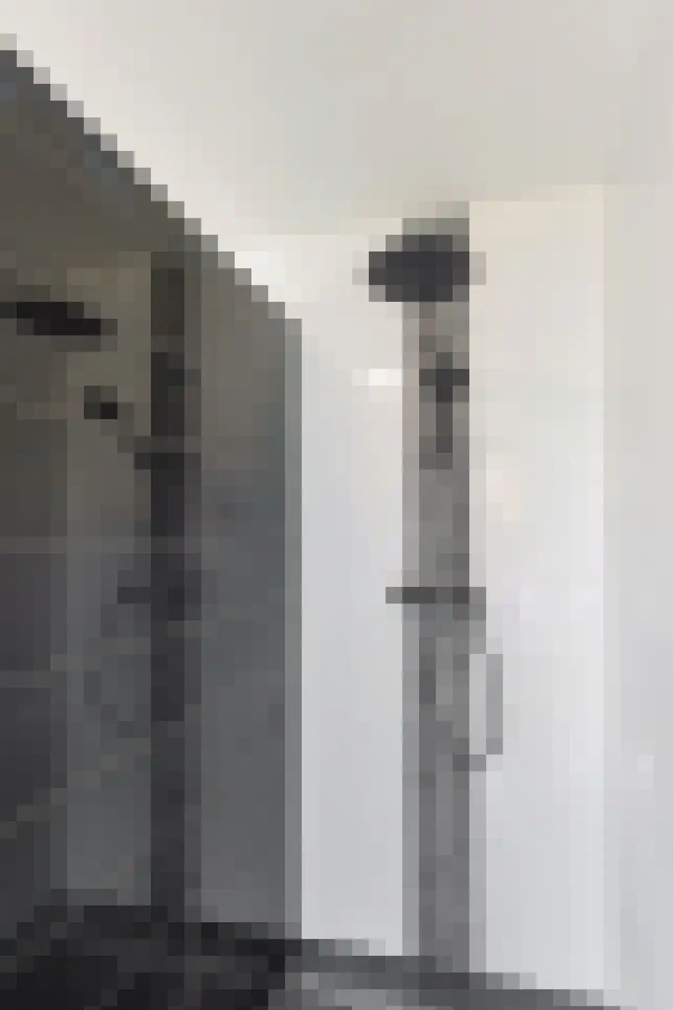 Gabriël Metsulaan 9 Eindhoven thumbnail 44