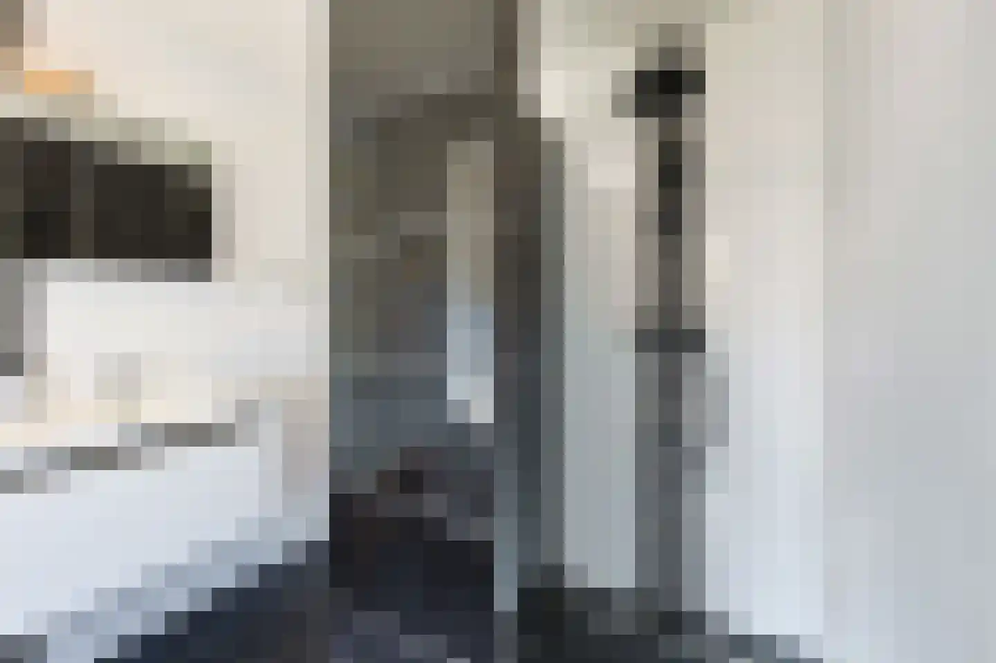 Gabriël Metsulaan 9 Eindhoven thumbnail 45
