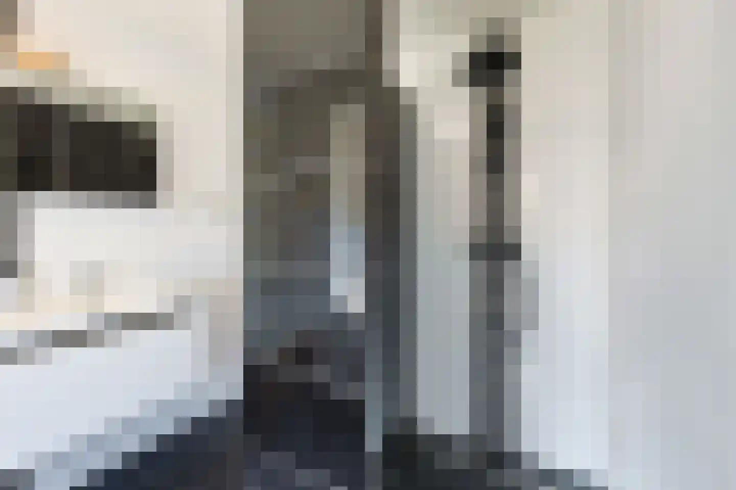 Gabriël Metsulaan 9 Eindhoven thumbnail 45