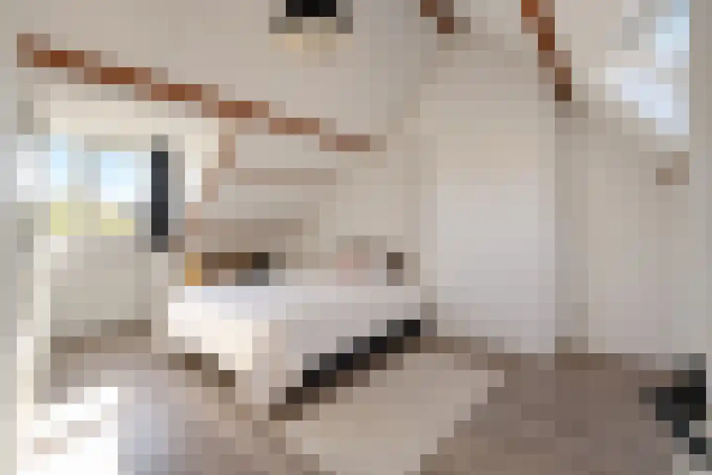 Gabriël Metsulaan 9 Eindhoven thumbnail 46