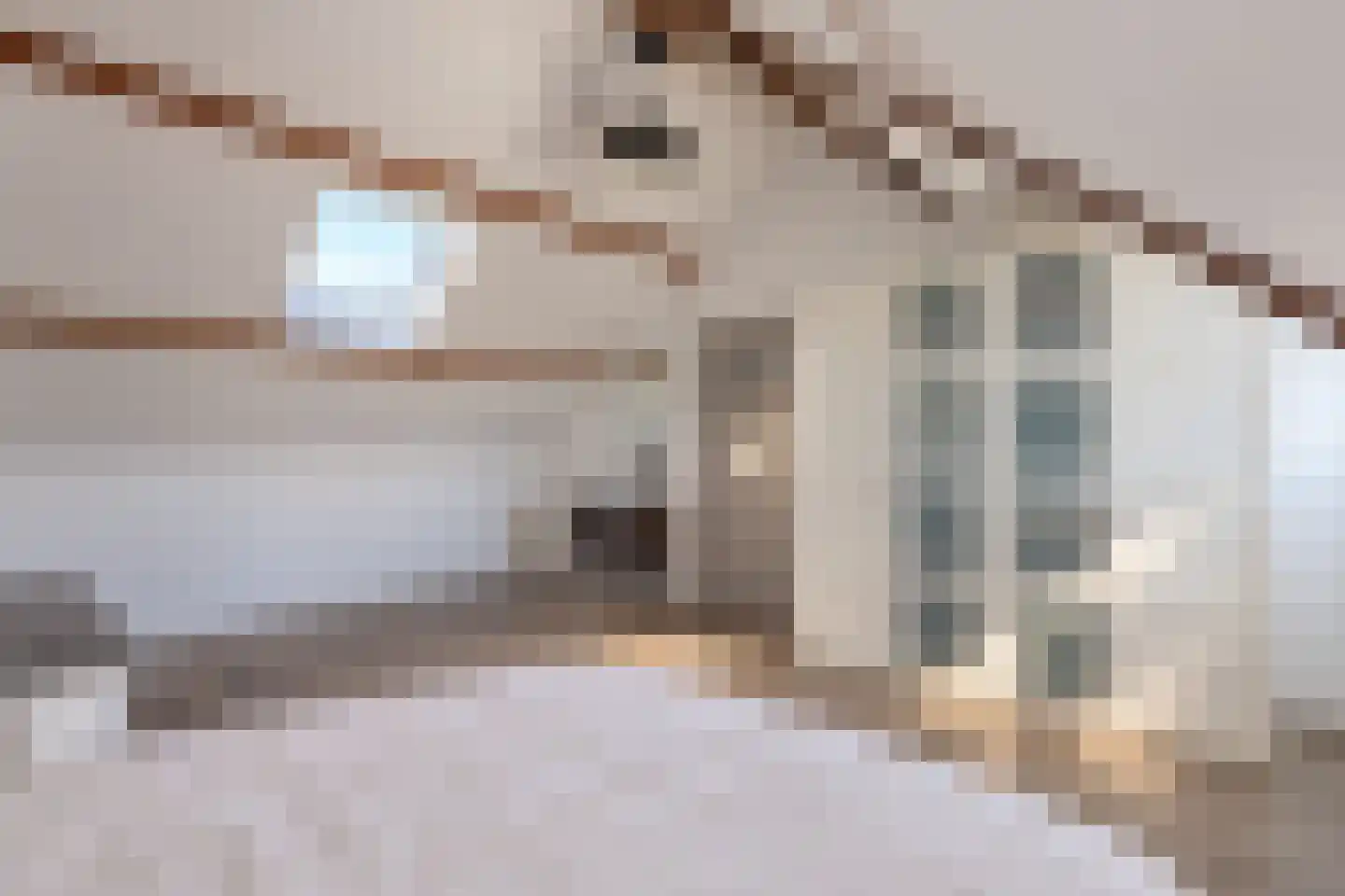 Gabriël Metsulaan 9 Eindhoven thumbnail 47
