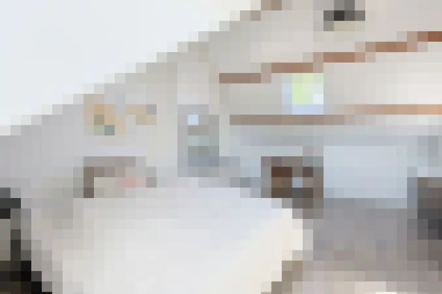 Gabriël Metsulaan 9 Eindhoven thumbnail 52
