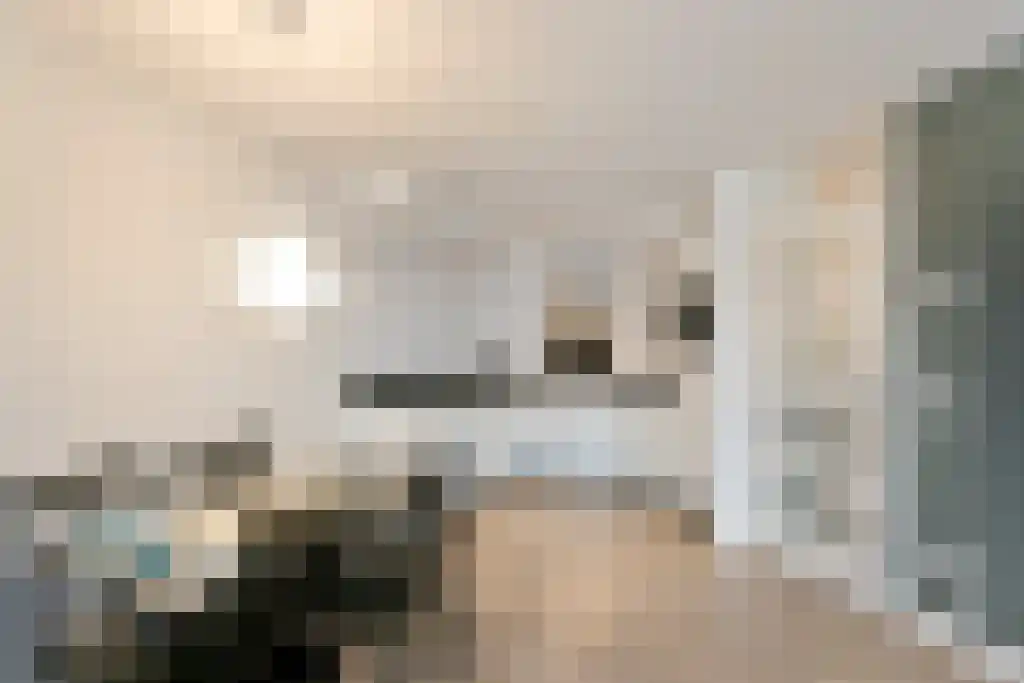 Gabriël Metsulaan Eindhoven thumbnail 4