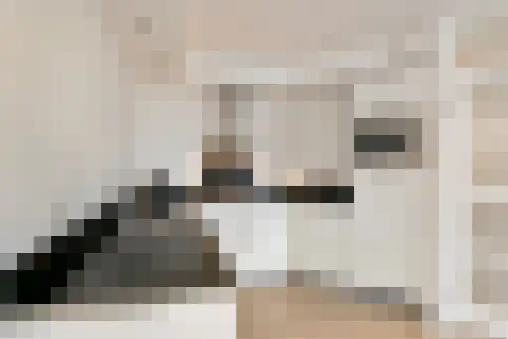 Gabriël Metsulaan Eindhoven thumbnail 5