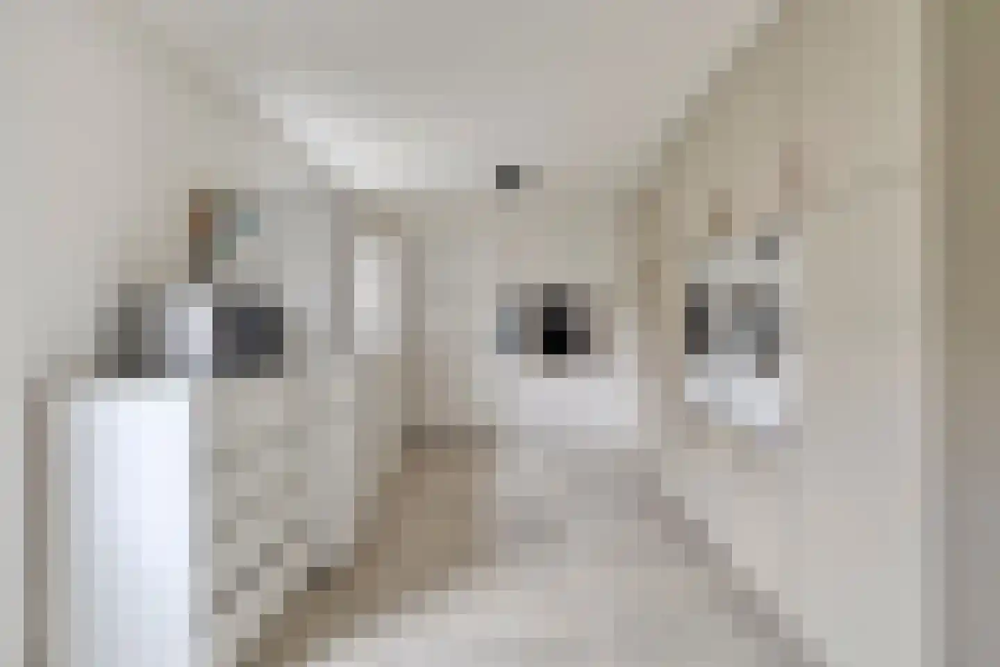 Gabriël Metsustraat 12 Boxmeer thumbnail 15