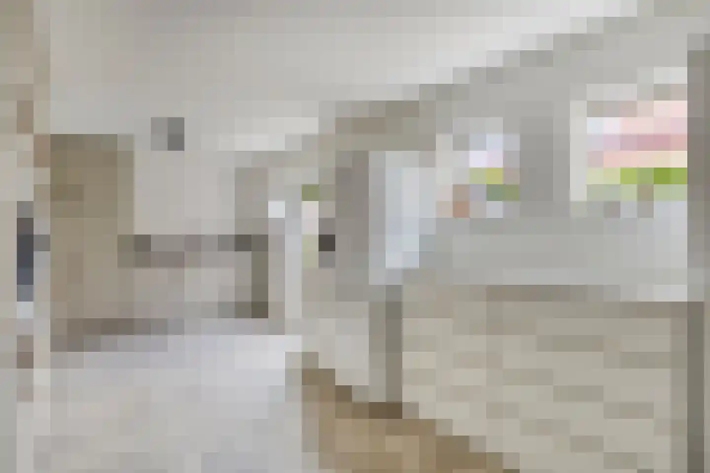 Gabriël Metsustraat 12 Boxmeer thumbnail 16