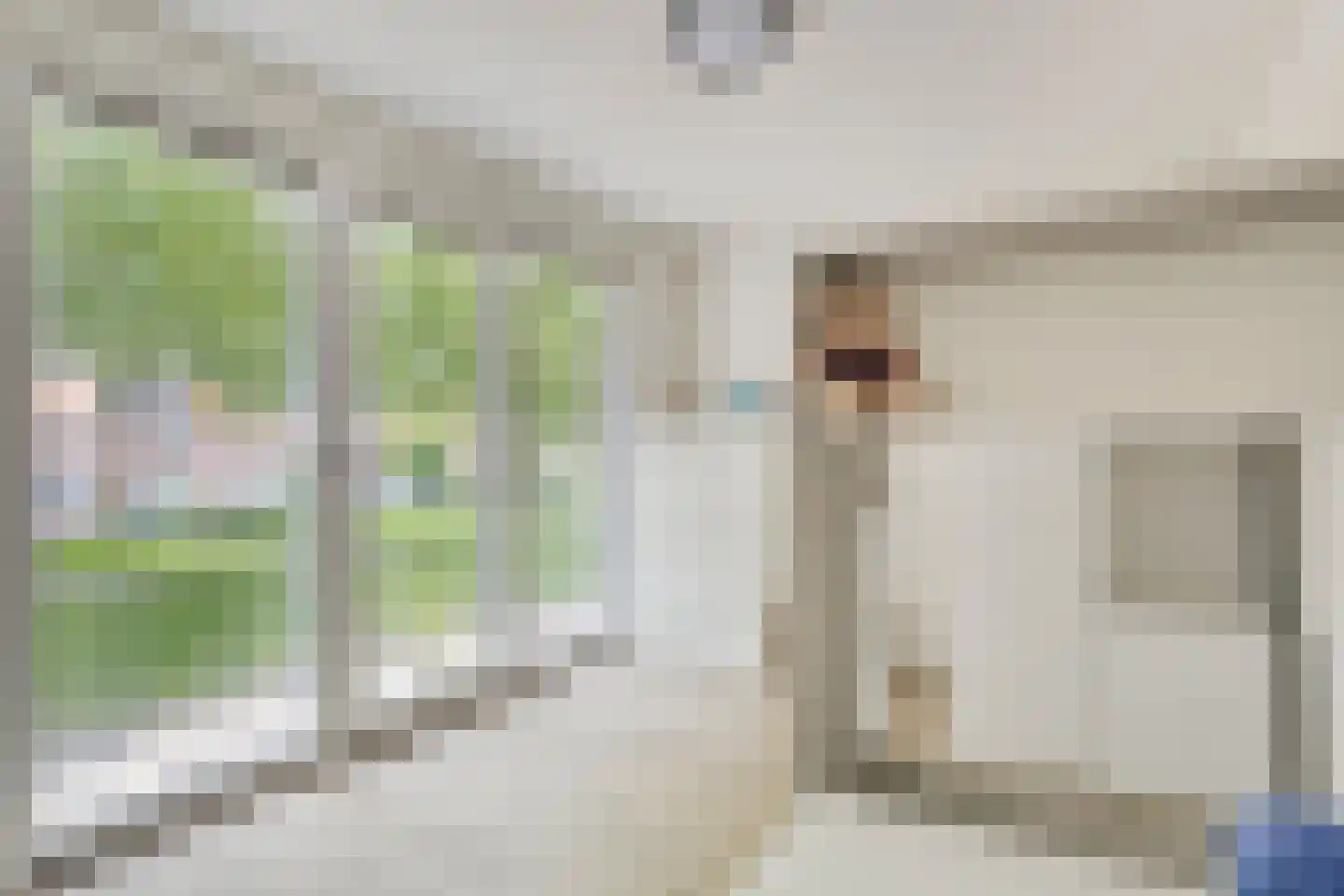 Gabriël Metsustraat 12 Boxmeer thumbnail 19