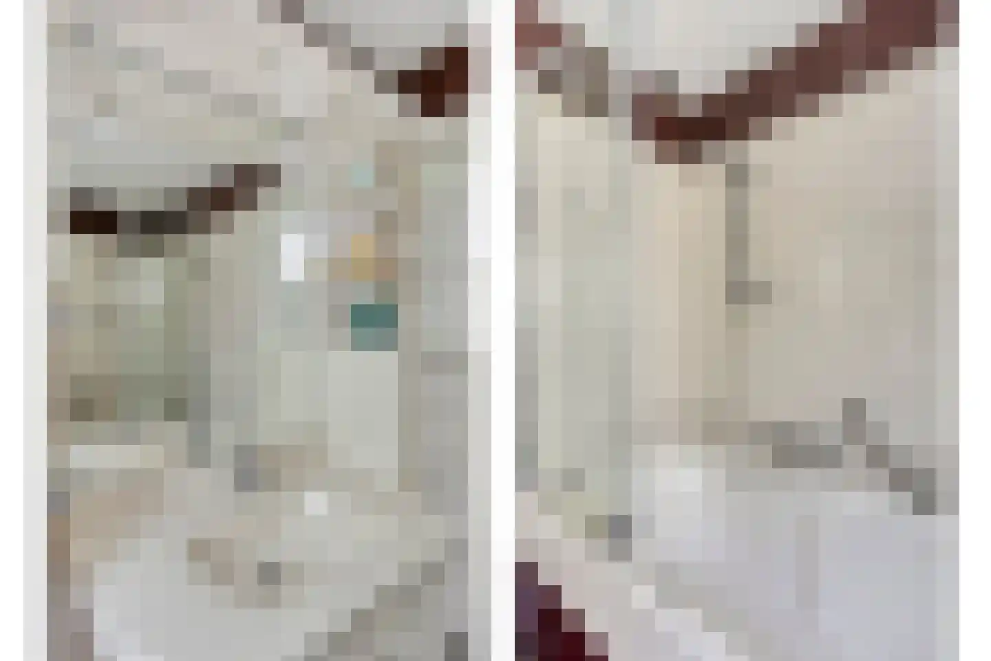 Gabriël Metsustraat 12 Boxmeer thumbnail 23
