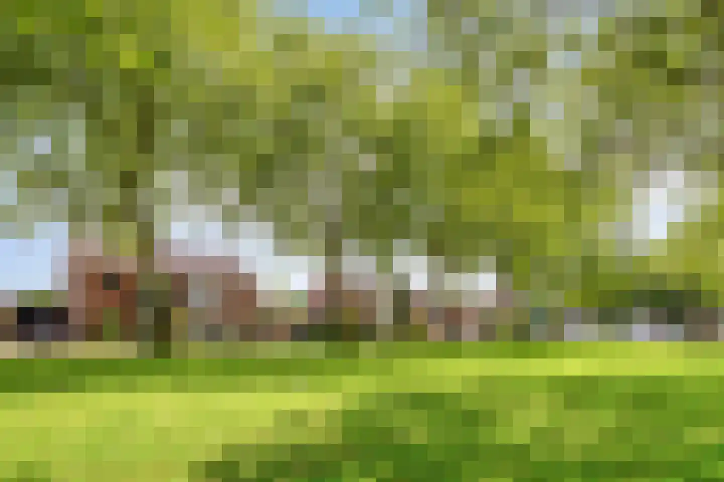 Gabriël Metsustraat 12 Boxmeer thumbnail 33