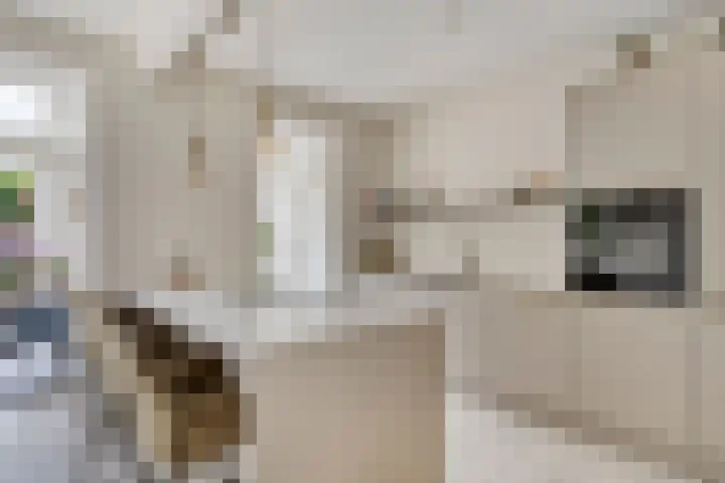 Gabriël Metsustraat 12 Boxmeer thumbnail 9