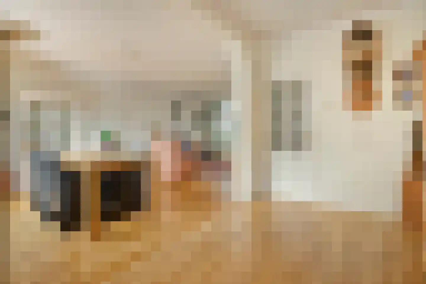 Gabriël Metsustraat 14 Boxmeer thumbnail 20